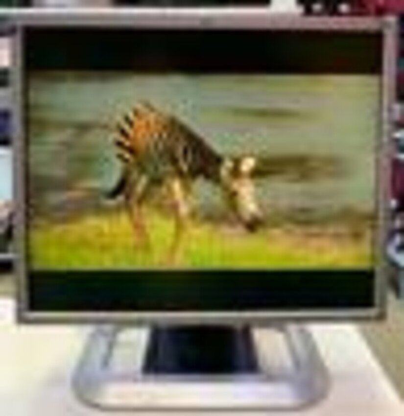 Монитор HP LP 1965